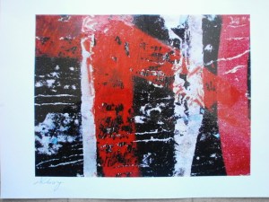 ROBERTO ALBORGHETTI - LACER/ACTIONS PROJECT - 