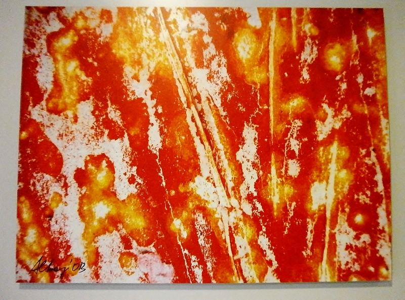 © Roberto Alborghetti, LaceR/Actions, esclusively for Fai Service Italy 