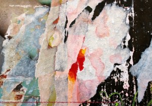 176 29-12-2010 C'è del caos, ma con punto focale (1024x713)