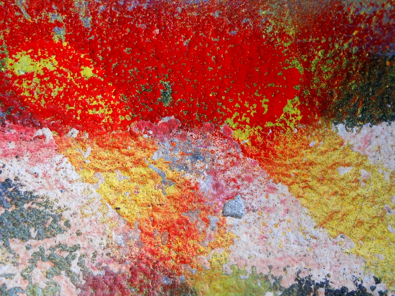 © Roberto Alborghetti – LaceR/Actions, 2014