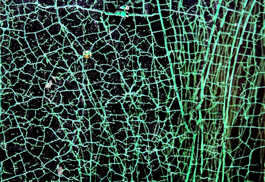 Interlaced stories and destinies / The Solidarity Cracks  © Roberto Alborghetti – LaceR-Actions, 2014