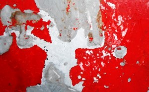 © Roberto Alborghetti – LaceR/Actions, 2014