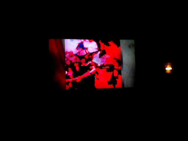 b DSCN0006 (640x480)