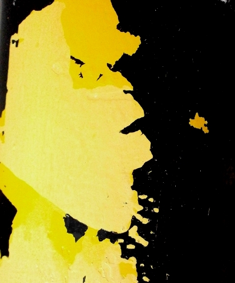 © Roberto Alborghetti - Lacer/actions, 2015