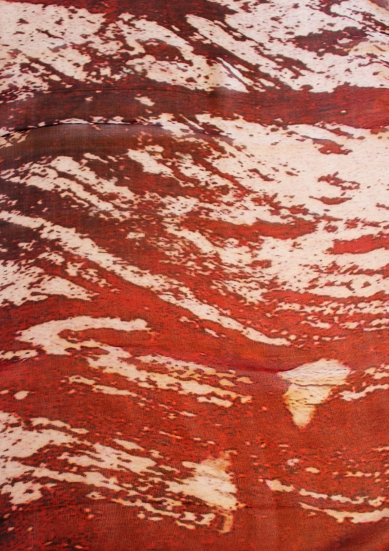 ROBERTO ALBORGHETTI - LACER-ACTIONS