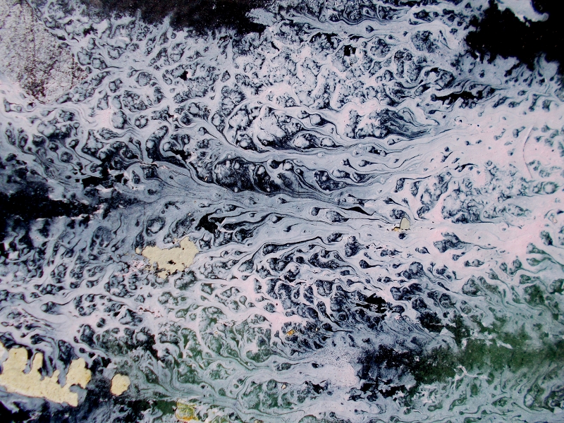 © Roberto Alborghetti - Lacer/actions