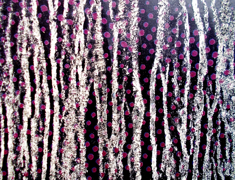 DSCN4979 - Copia (800x615)