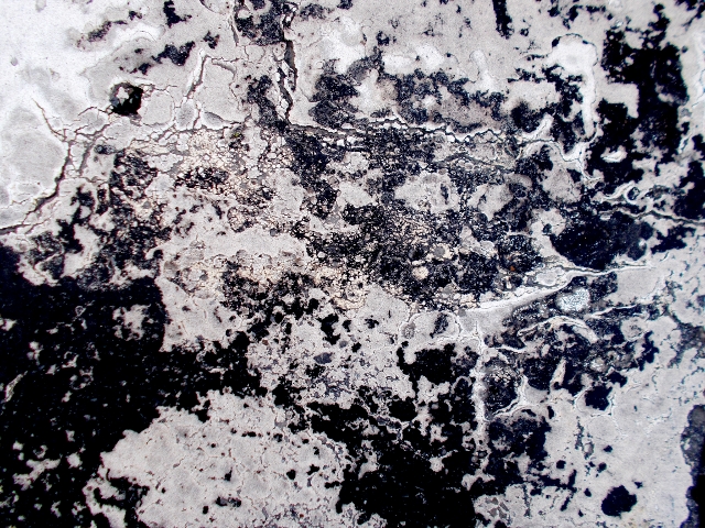 roberto-alborghetti-laceractions-4