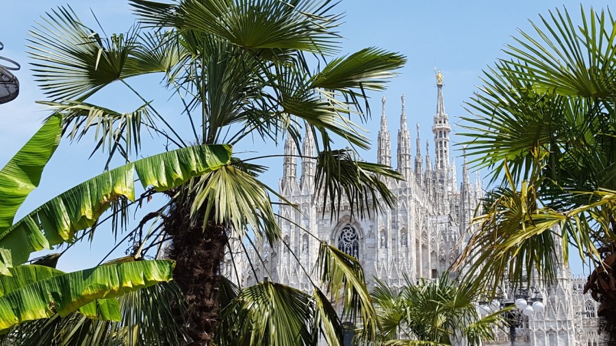 20170705_140008_001_resized