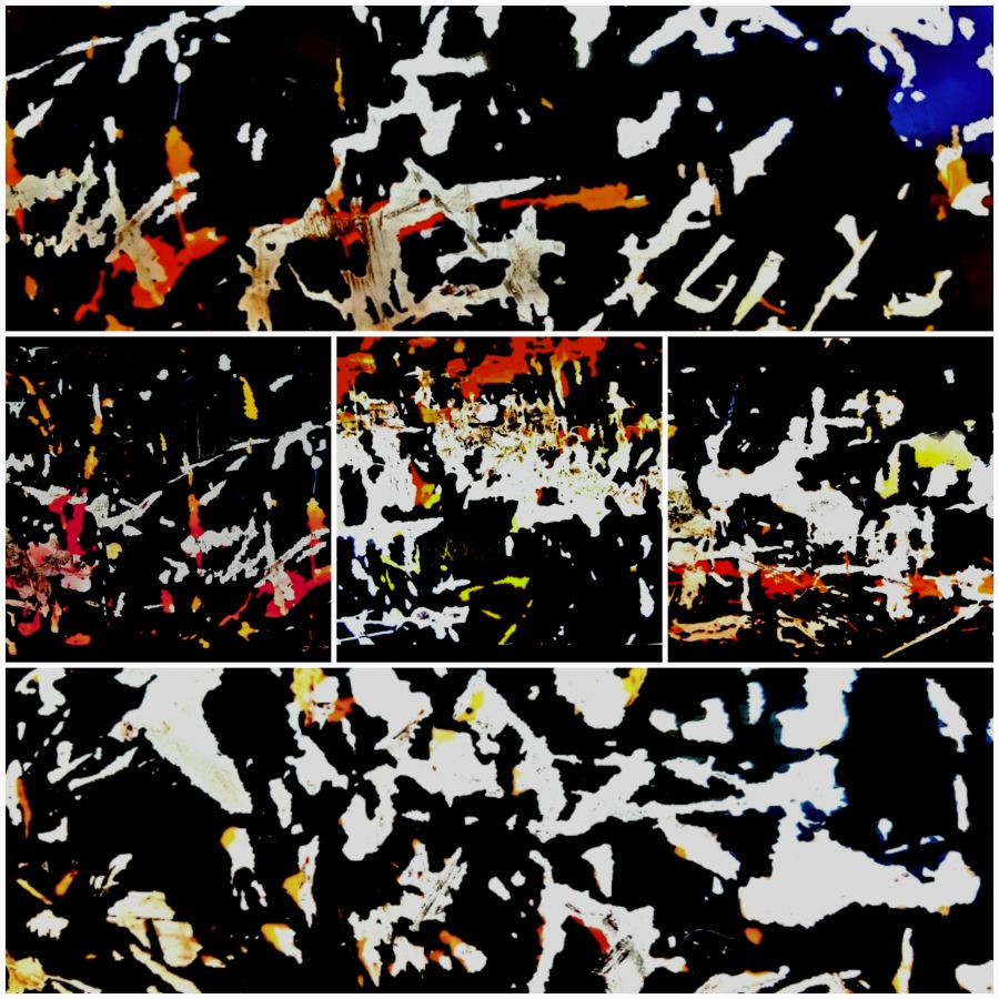 © Roberto Alborghetti – Lacer/actions 2017