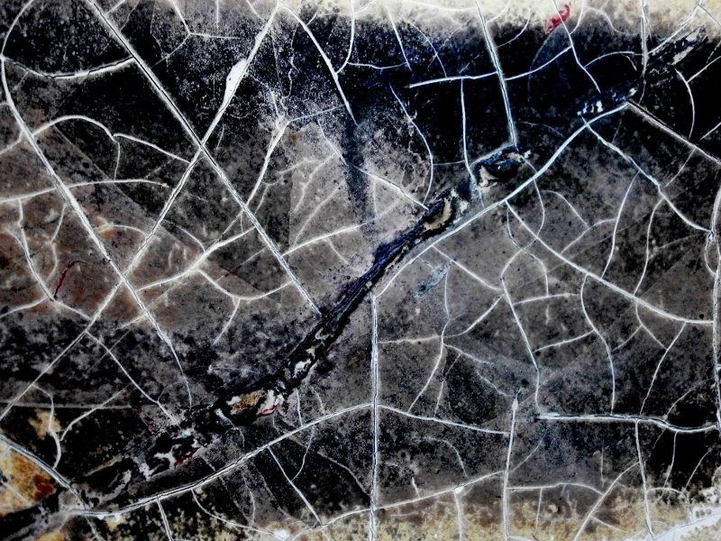 © Roberto Alborghetti