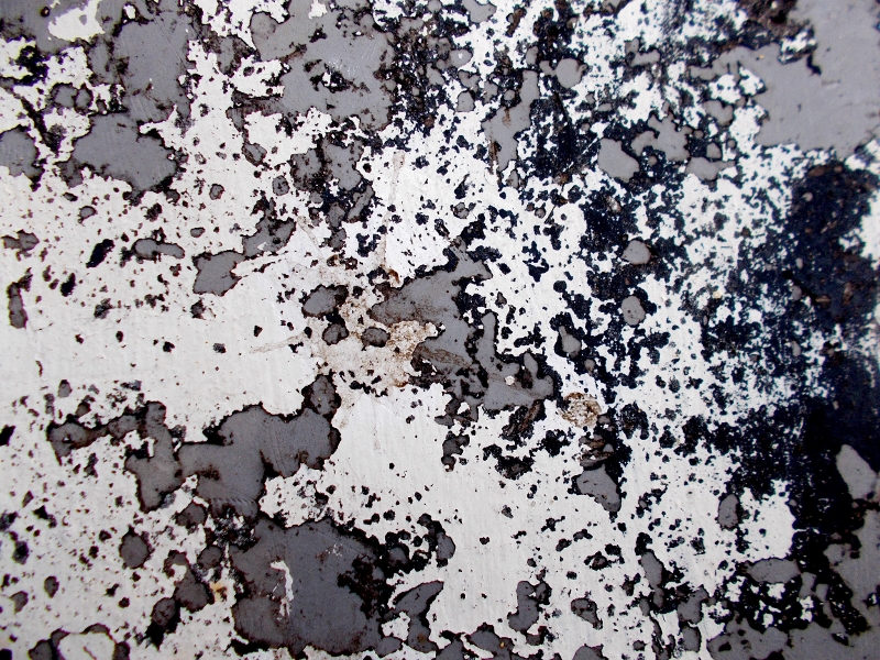 © Roberto Alborghetti (7)