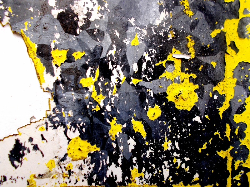 © roberto alborghetti (1)