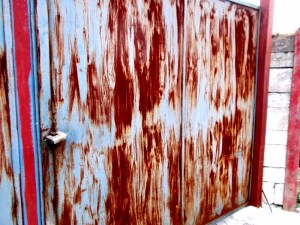 © roberto alborghetti (16)