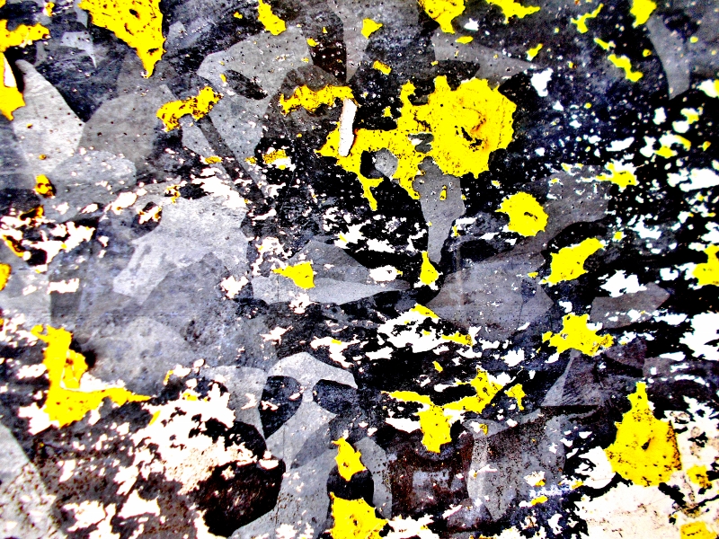 © roberto alborghetti (4)