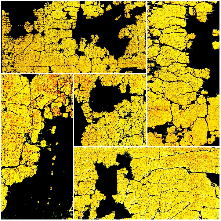 20190717_203654_resized