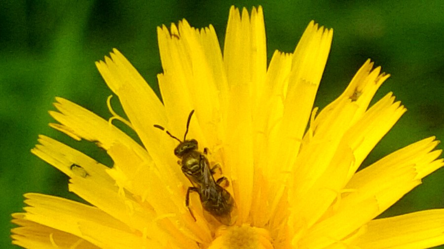 © Roberto Alborghetti (7)