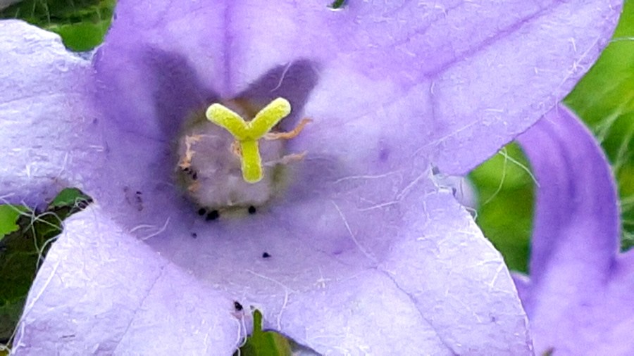 © Roberto Alborghetti (9)