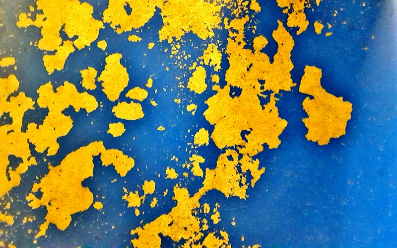 © Roberto Alborghetti (4)