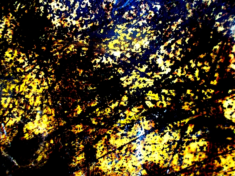 © Roberto Alborghetti (40)