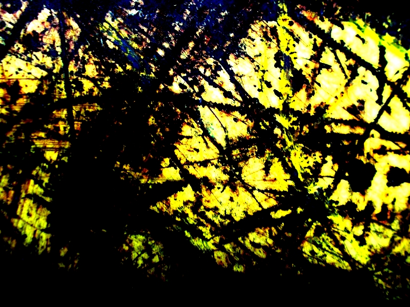 © Roberto Alborghetti (42)