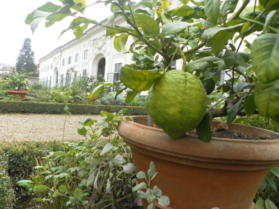 SAMSUNG DIGITAL CAMERA