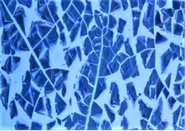 © Roberto Alborghetti