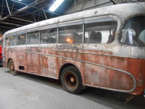 DSCN7562 (640x480) (640x480)