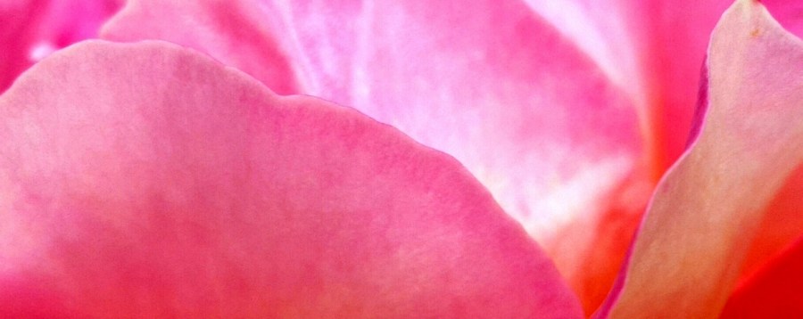 © Roberto Alborghetti (5)