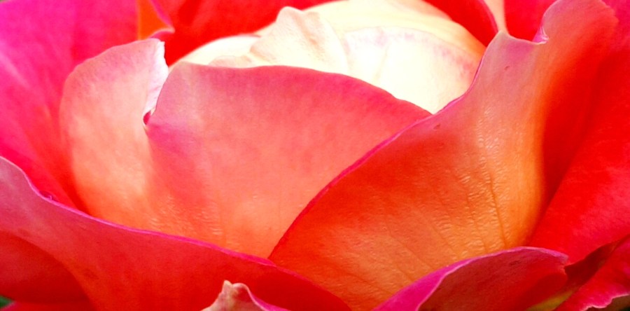 © Roberto Alborghetti (6)