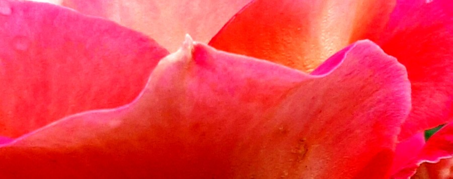 © Roberto Alborghetti (7)