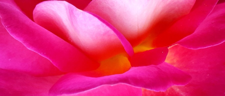 © Roberto Alborghetti (8)